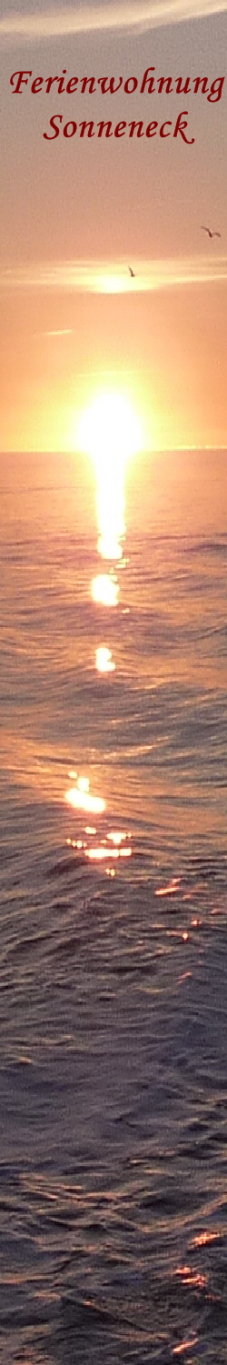 Sonnenuntergang1